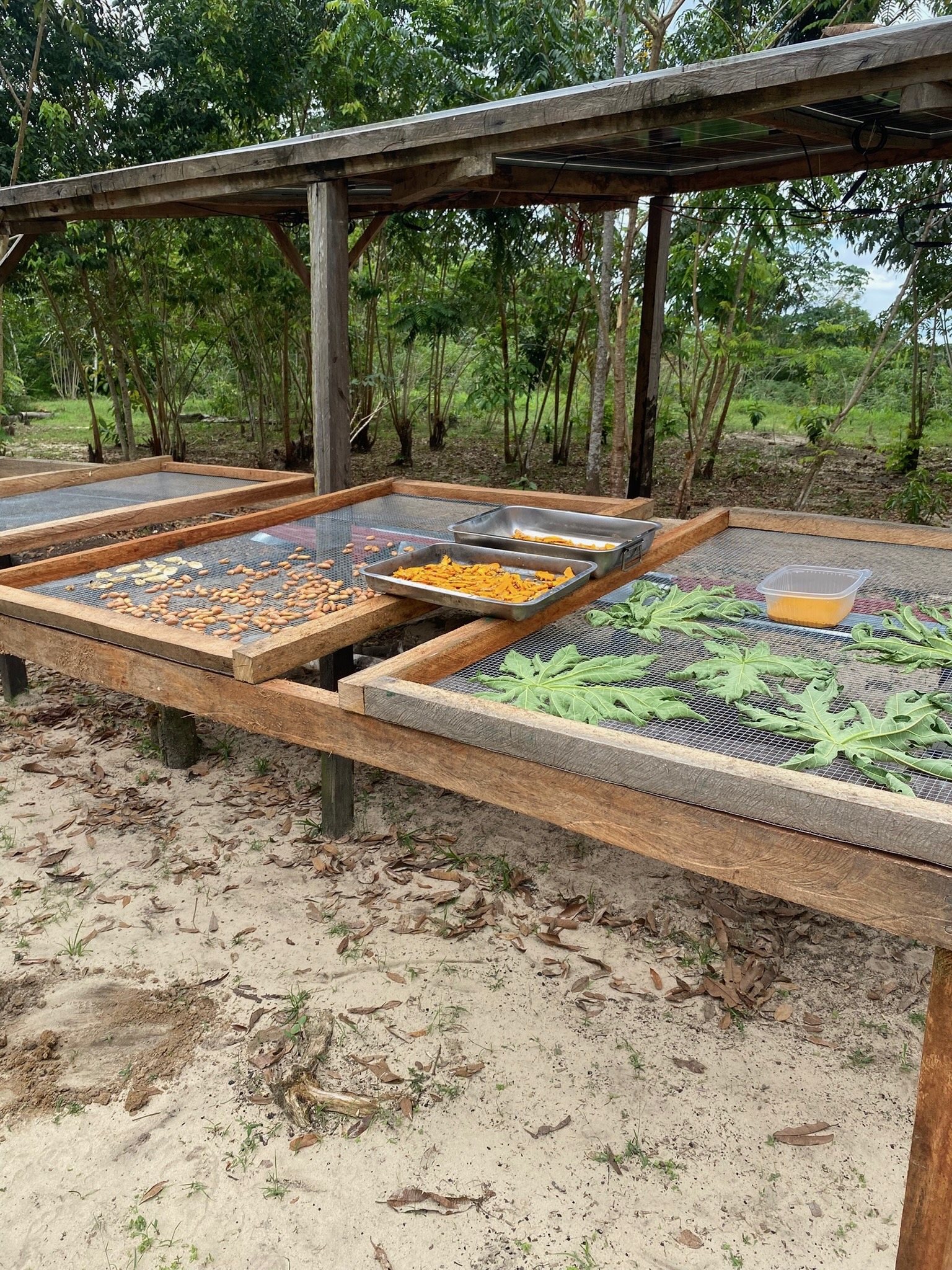 Retreat Preparation and Medical Information consultation process before participating in ceremony