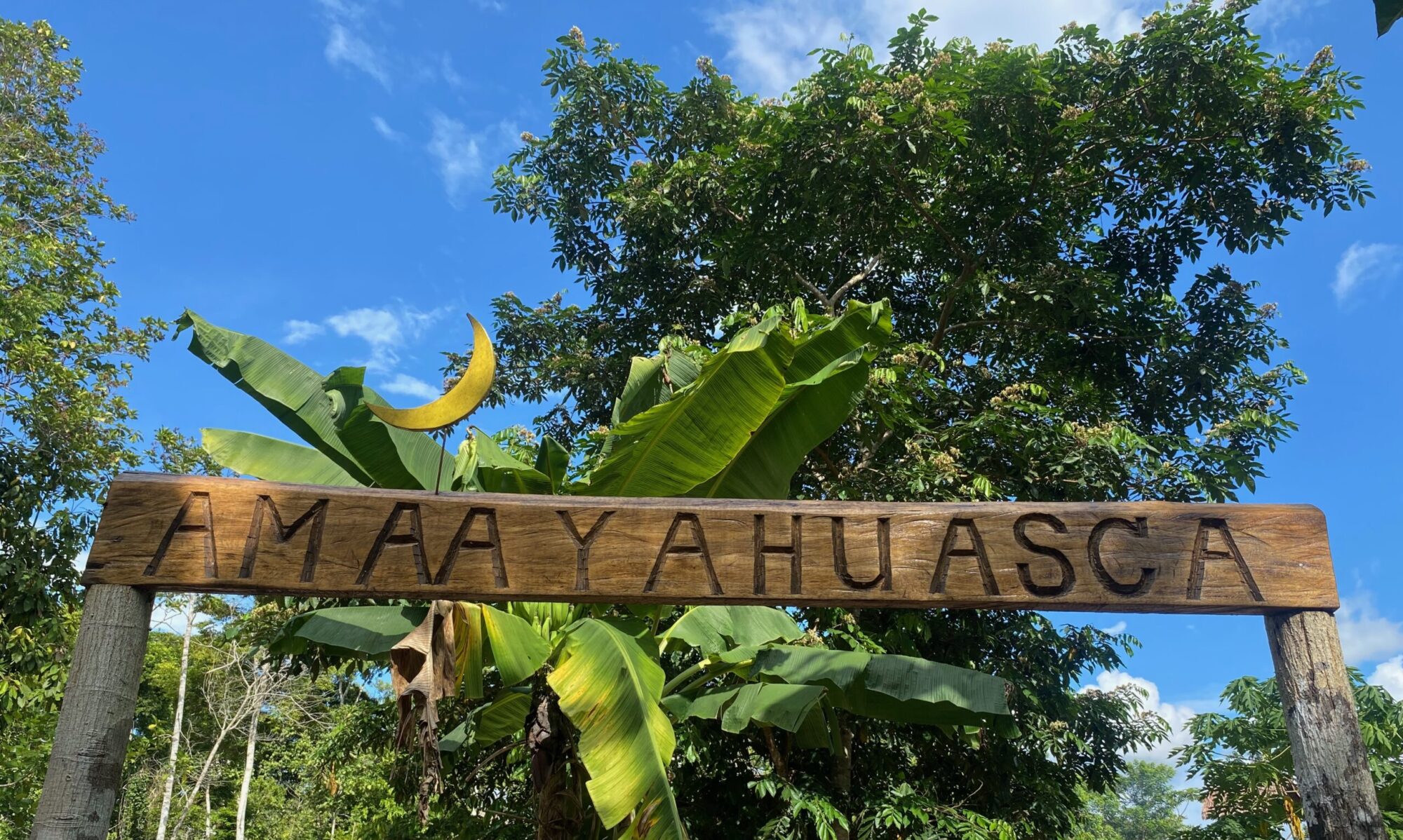 Ayahuasca Retreats in Peru. Entrance to the AMAAYAHUASCA retreat center surrounded by Amazon rainforest in Peru